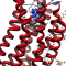 Example protein structure